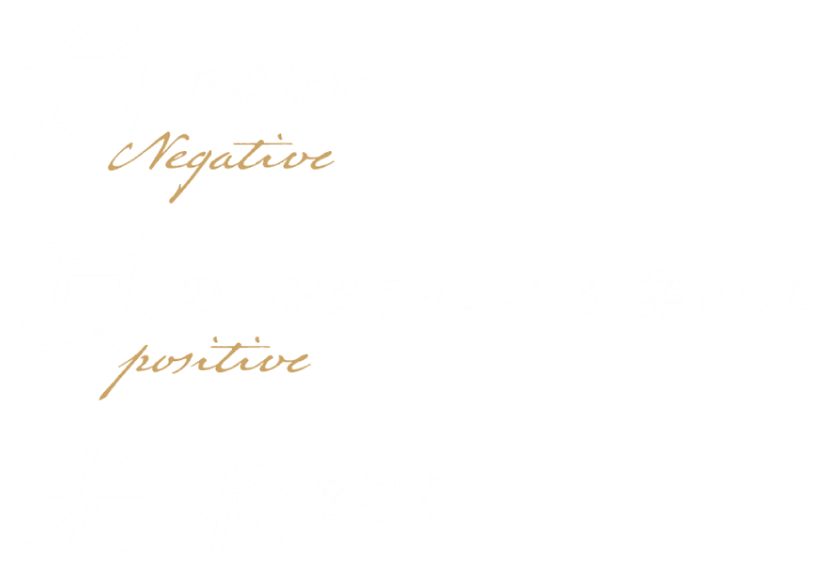 シャイニングデータ